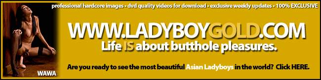 LADYBOYGOLD.COM