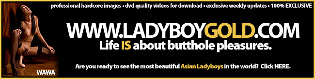 LADYBOYGOLD.COM