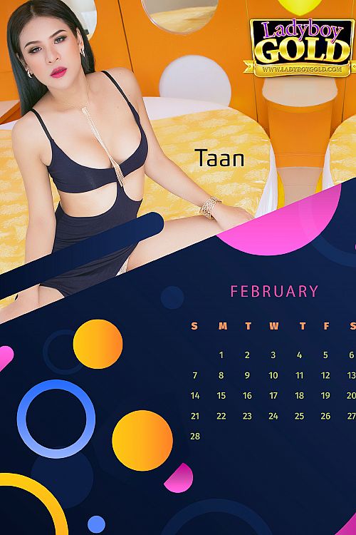 2021 Calendar - February